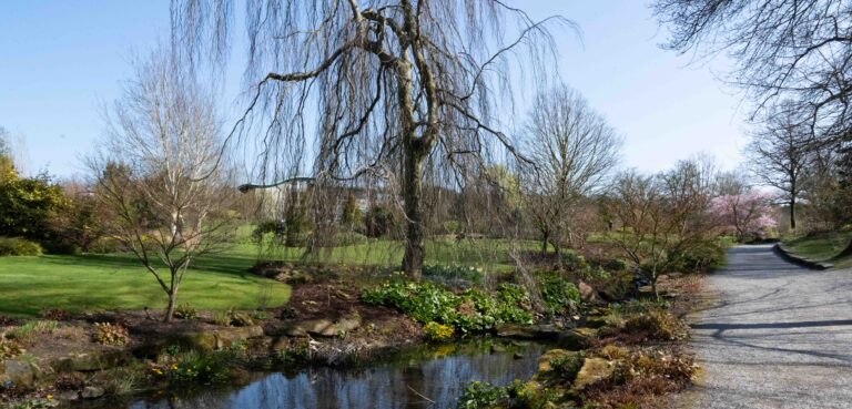 Harlow Carr Harrogate