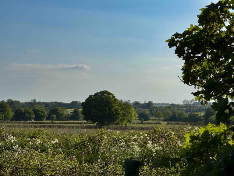 Cheddar Mendip Heights