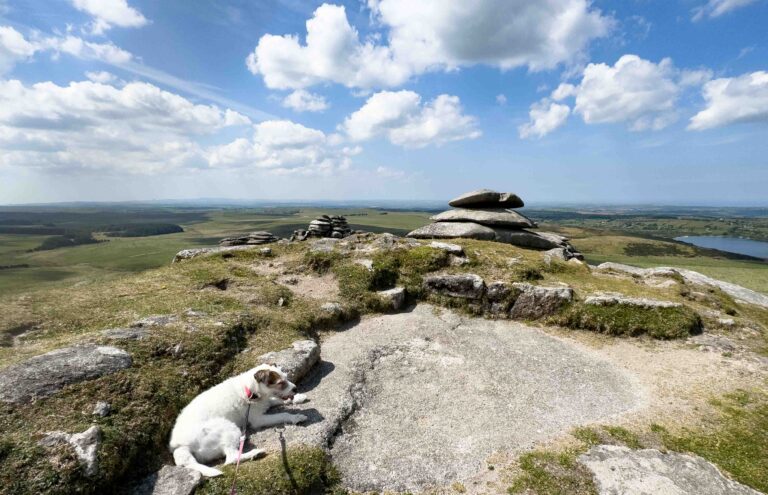 Bodmin Moor Rough Tor