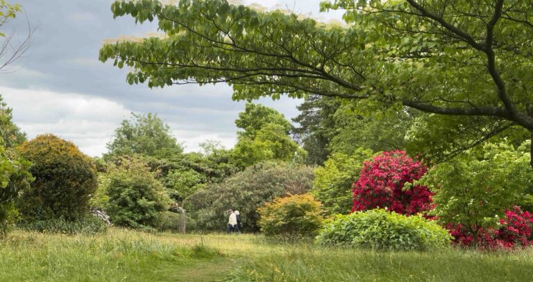 Emmett’s Garden